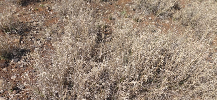 Commercial Property for Sale in Douglas Rural Northern Cape